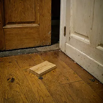 AI-generated art thumbnail for: Doorstop Edge Utility Room