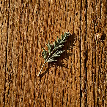 AI-generated art thumbnail for: Thyme Pin On Pine Board