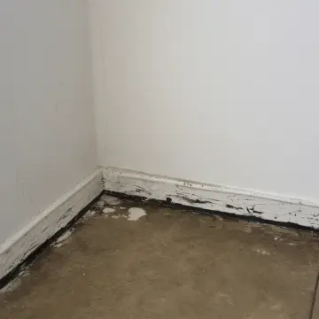 AI-generated art thumbnail for: The Wet Corner Path