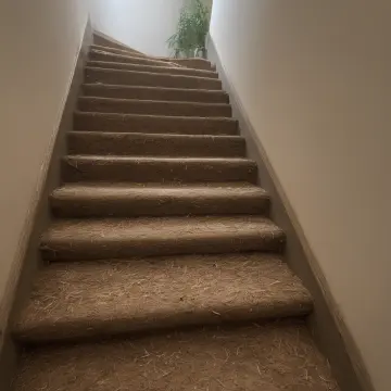 AI-generated art thumbnail for: Stairwell scent shift