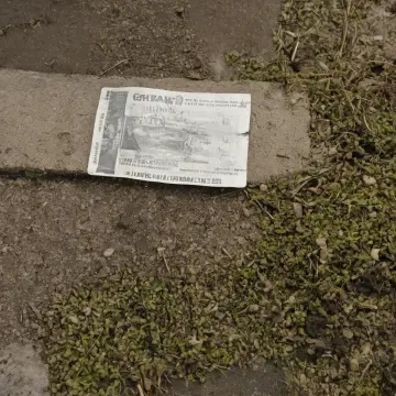 AI-generated art thumbnail for: Ticket Always Returns Damp