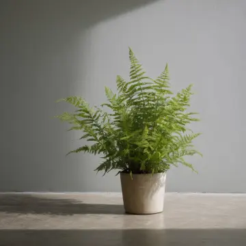 AI-generated art thumbnail for: Fern Tilt In Annex Corner