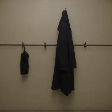 AI-generated art thumbnail for: Coat Hook Angle