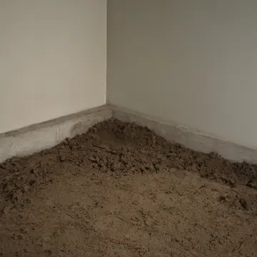 AI-generated art thumbnail for: Soil Meets Concrete Edge