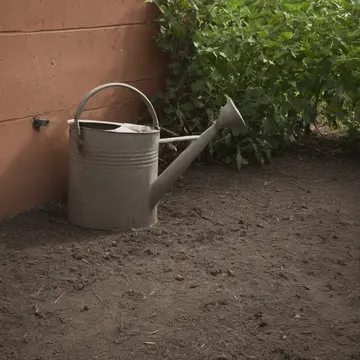 Overturned watering can in Community garden shed. The shed is being locked up for the day, and one item seems slightly misplaced. Rust on the faucet spigot
