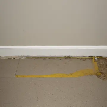 Spilled birdseed and discarded twine in Service entrance utility closet. The floor is being cleared of small, scattered organic debris. Dust motes suspended in a beam of light