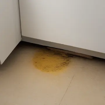 A leak from an old radiator pipe in Small domestic utility closet. The dripping water stains the baseboard paint. Yellowed stack of cleaning rags