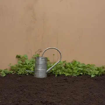 watering can and seedlings in local nursery aisle. A routine watering is interrupted by an excess of water. wet terracotta pot
