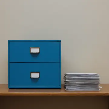 Cardboard filing cabinet in Small municipal records office. A clerk is organizing files for the day's intake. Dust motes suspended in morning light
