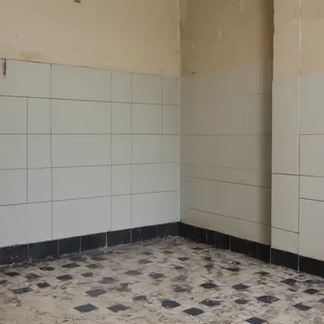 A stack of mismatched ceramic tiles in Utility room counter. The resident is meticulously arranging and re-arranging the tiles. Damp soap scum residue