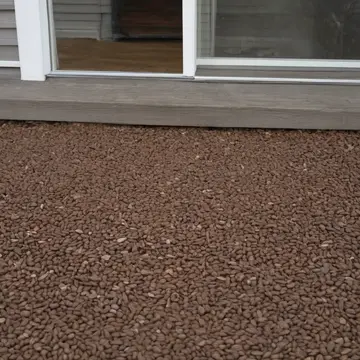 Spilled birdseed and feeder base in Residential back porch. The seed has formed a precise, unnatural boundary near the door threshold. Granular seed pile