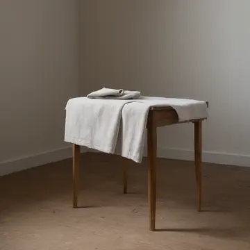 Folding laundry in Linen closet off main hall. A room prepared for an arrival that is perpetually late. Dust motes suspended in weak morning light