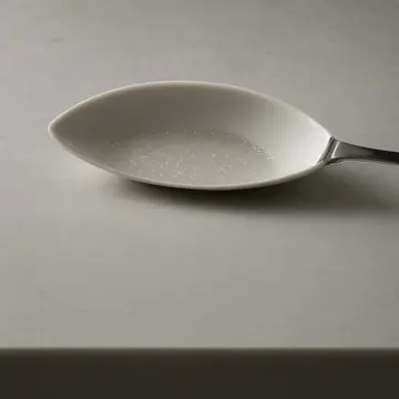 Generated artwork for Spoon by Damp Dishes